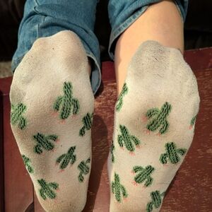 Worn Women's Socks Cactus Patterned